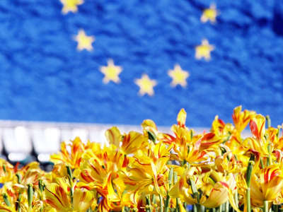 EU-Flagge - Blumen - Online-Befragung zur Abschaffung der Sommerzeit in der gesamten EU.