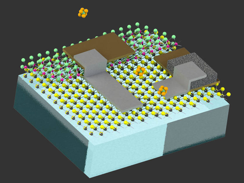 Der kleinste Roboter der Welt, der fühlen kann, ist 100 Mikrometer groß und auf einem Polymerchip mit elektronischer Schaltung.