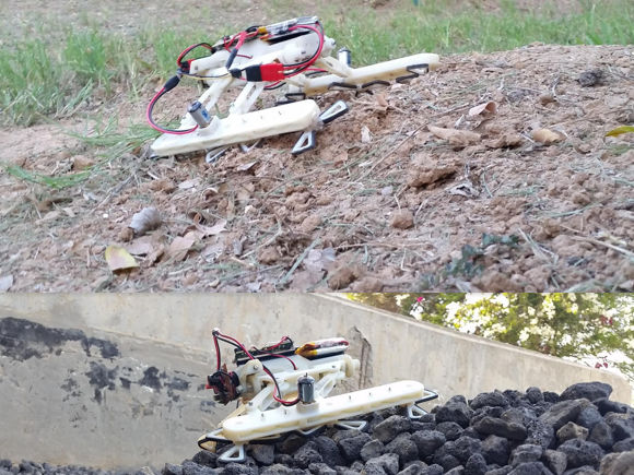 Der Schildkröten Roboter (RSTAR - Rising STAR) auf schwierigem Gelände: Sand mit Steigung und Geröll.